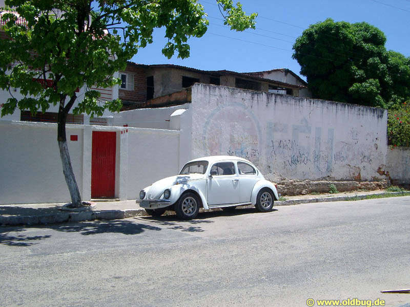 Käfer in Brasilien