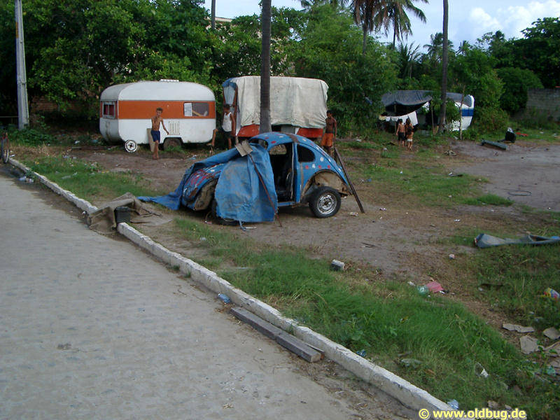 Käfer in Brasilien