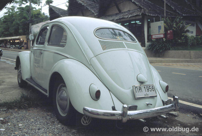 Ovali auf Phuket, Thailand